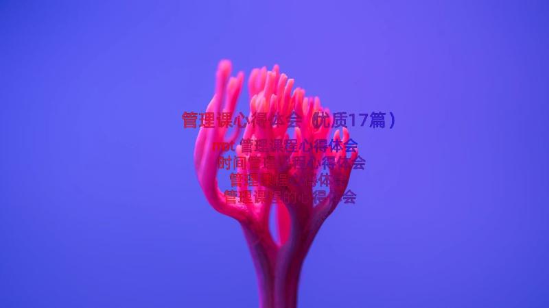 管理课心得体会（优质17篇）