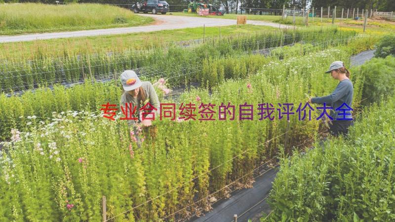 专业合同续签的自我评价大全（13篇）