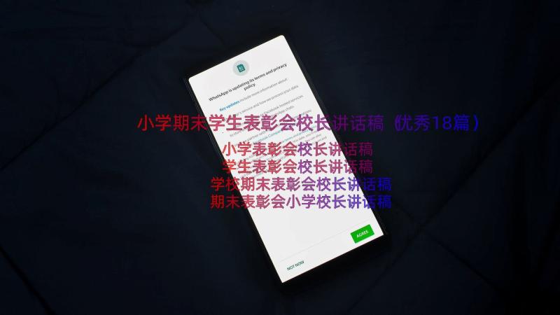 小学期末学生表彰会校长讲话稿（优秀18篇）