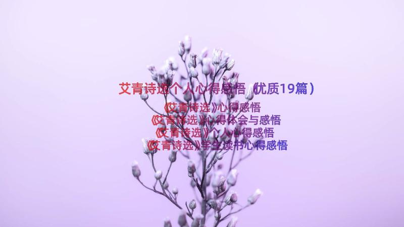 艾青诗选个人心得感悟（优质19篇）