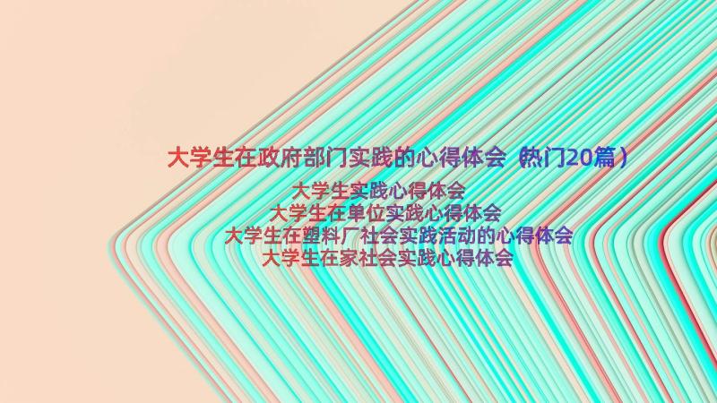 大学生在政府部门实践的心得体会（热门20篇）