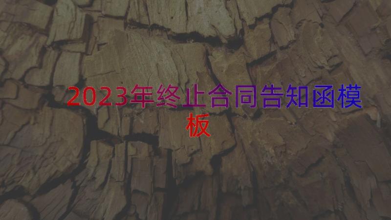 2023年终止合同告知函（模板14篇）