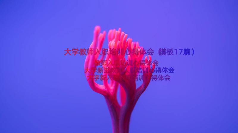 大学教师入职培训心得体会（模板17篇）