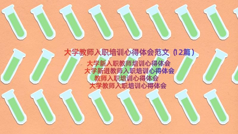 大学教师入职培训心得体会范文（12篇）