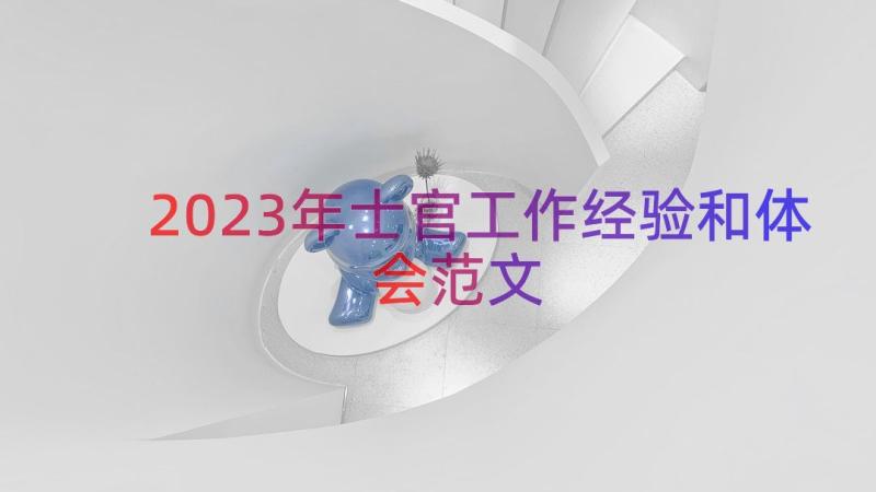 2023年士官工作经验和体会范文（14篇）