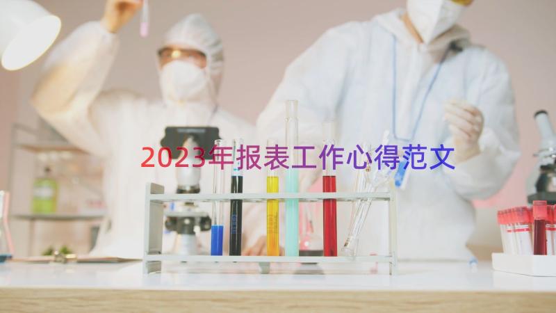 2023年报表工作心得范文（17篇）