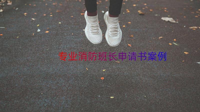 专业消防班长申请书（案例13篇）