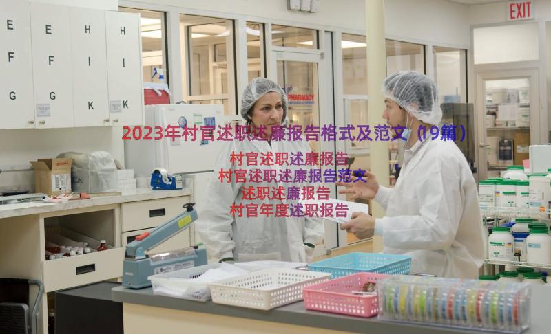 2023年村官述职述廉报告格式及范文（19篇）