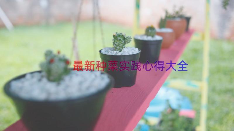 最新种菜实践心得大全（18篇）