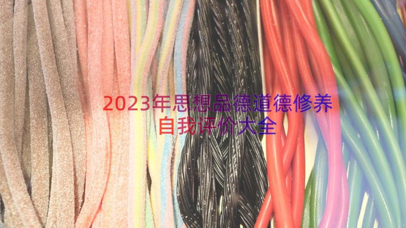 2023年思想品德道德修养自我评价大全（18篇）