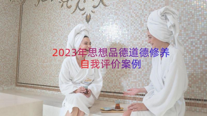 2023年思想品德道德修养自我评价（案例14篇）