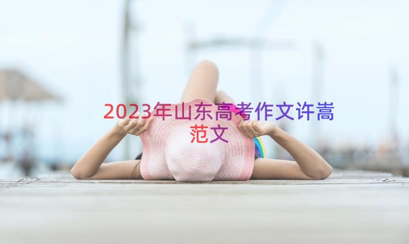 2023年山东高考作文许嵩范文（16篇）