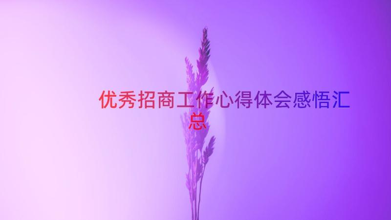 优秀招商工作心得体会感悟（汇总16篇）