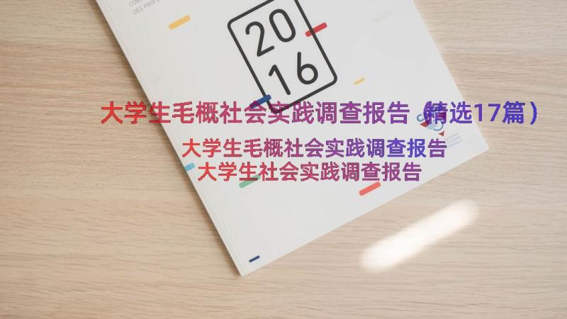 大学生毛概社会实践调查报告（精选17篇）