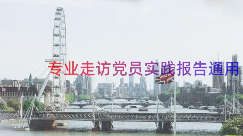 专业走访党员实践报告（通用17篇）