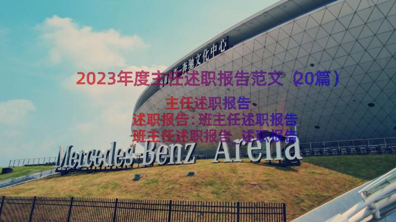 2023年度主任述职报告范文（20篇）