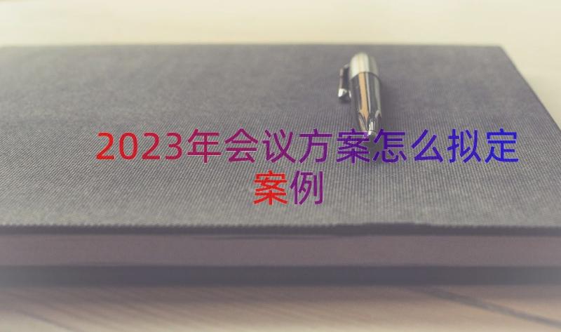 2023年会议方案怎么拟定（案例16篇）