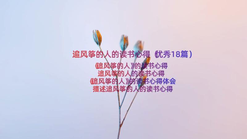 追风筝的人的读书心得（优秀18篇）