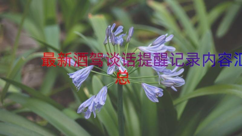 最新酒驾谈话提醒记录内容（汇总14篇）