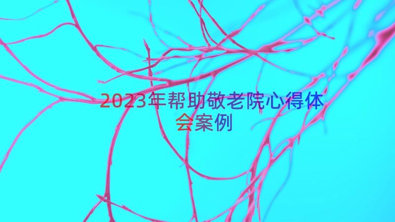 2023年帮助敬老院心得体会（案例16篇）