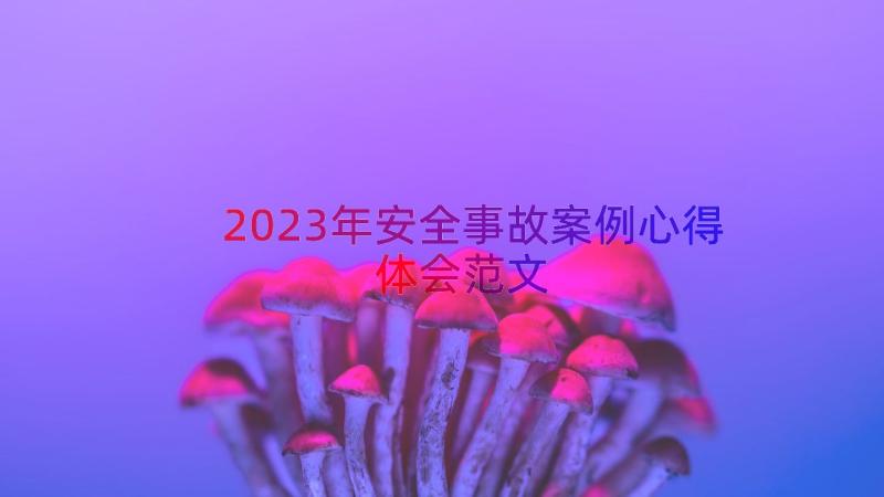 2023年安全事故案例心得体会范文（15篇）