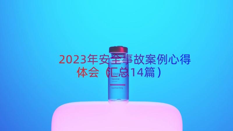 2023年安全事故案例心得体会（汇总14篇）