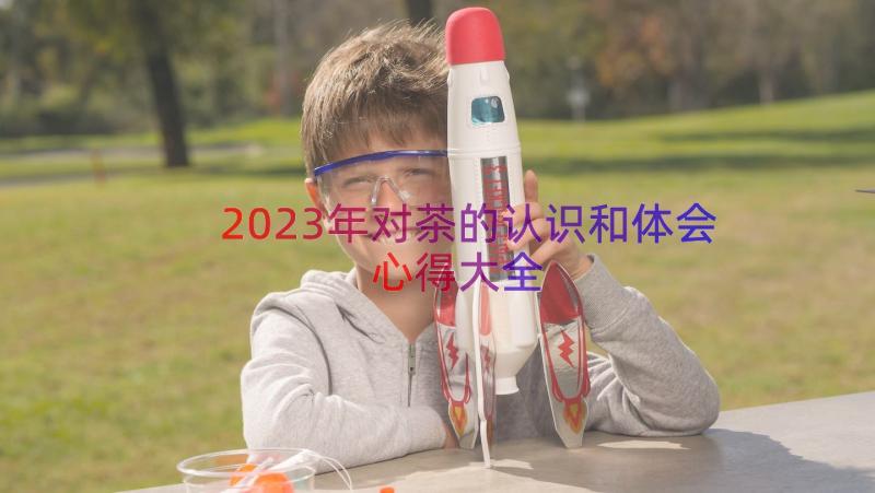 2023年对茶的认识和体会心得大全（18篇）