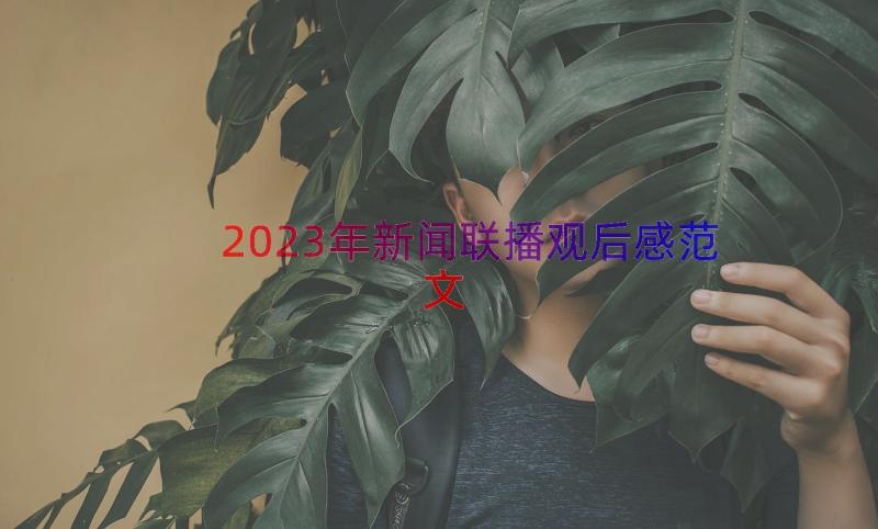 2023年新闻联播观后感范文（18篇）