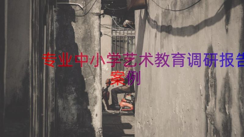 专业中小学艺术教育调研报告（案例17篇）