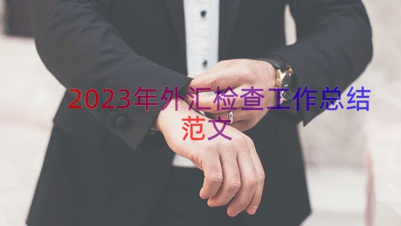 2023年外汇检查工作总结范文（15篇）