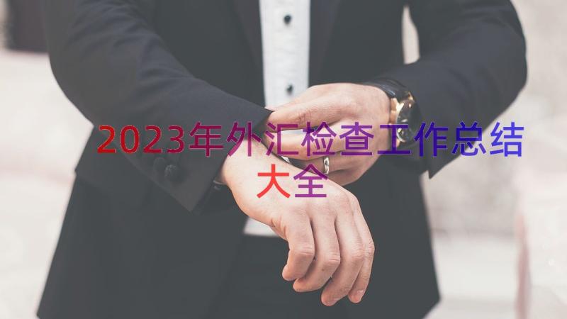 2023年外汇检查工作总结大全（18篇）