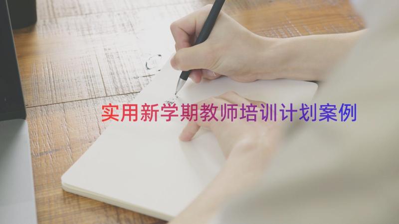 实用新学期教师培训计划（案例13篇）