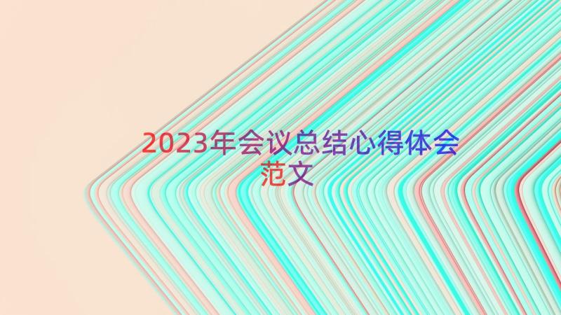 2023年会议总结心得体会范文（13篇）