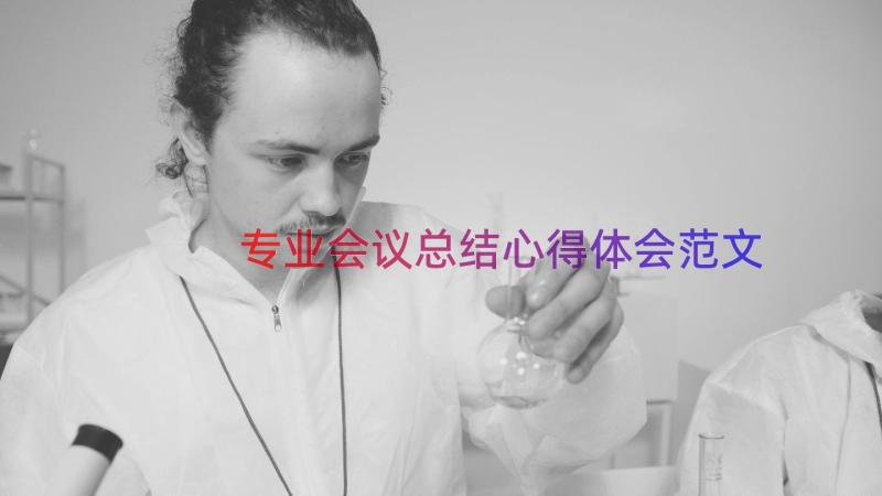 专业会议总结心得体会范文（13篇）