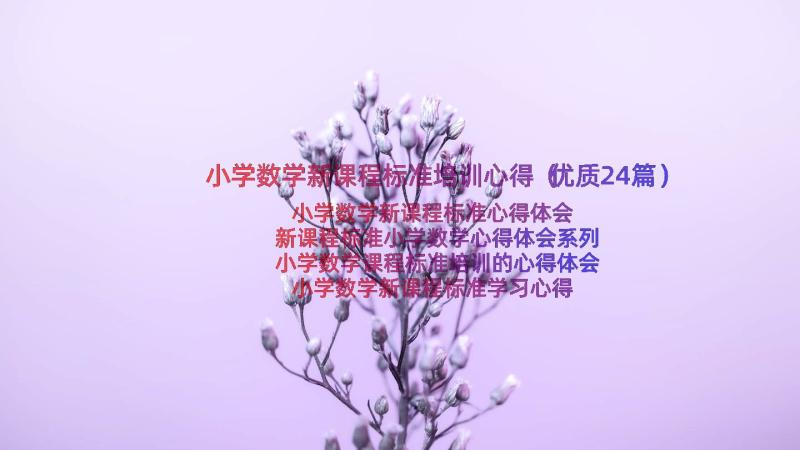 小学数学新课程标准培训心得（优质24篇）