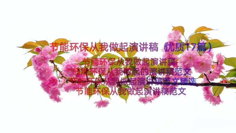 节能环保从我做起演讲稿（优质17篇）