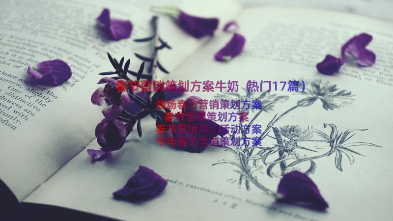 春节营销策划方案牛奶（热门17篇）