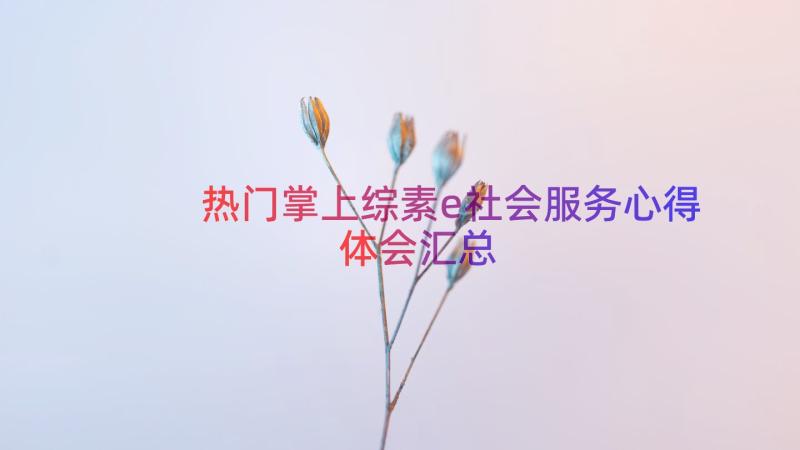 热门掌上综素e社会服务心得体会（汇总15篇）