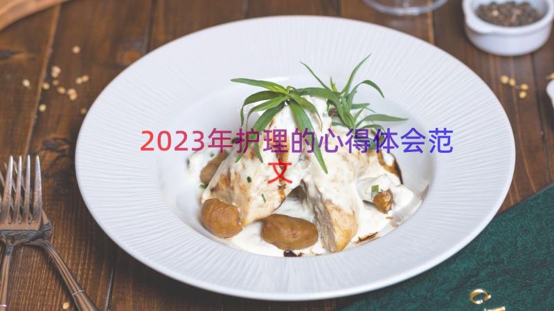 2023年护理的心得体会范文（14篇）