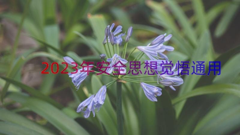 2023年安全思想觉悟（通用15篇）