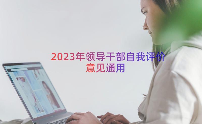 2023年领导干部自我评价意见（通用17篇）