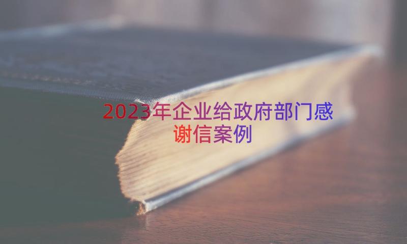 2023年企业给政府部门感谢信（案例17篇）