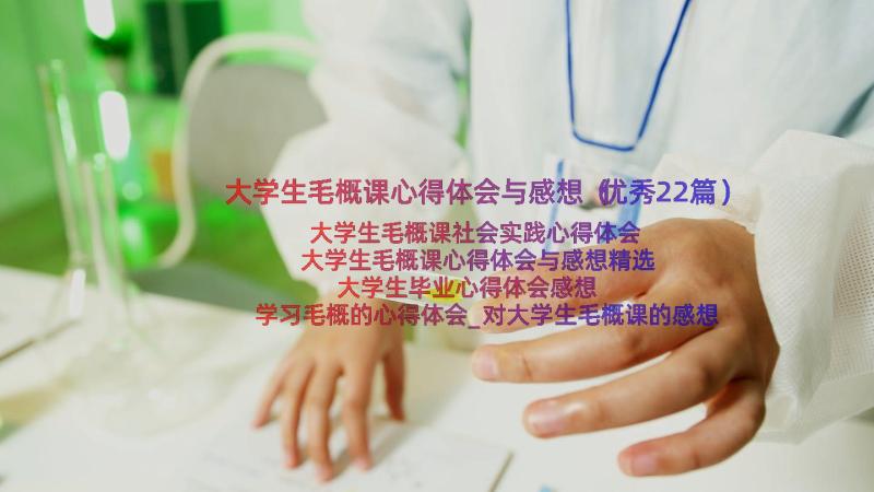 大学生毛概课心得体会与感想（优秀22篇）