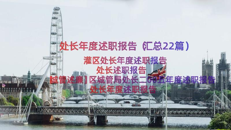 处长年度述职报告（汇总22篇）