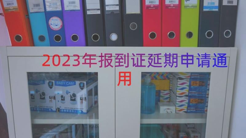 2023年报到证延期申请（通用17篇）