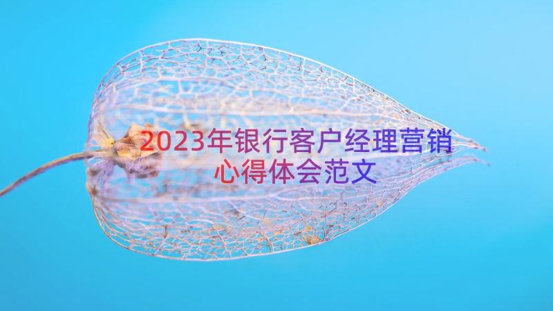 2023年银行客户经理营销心得体会范文（15篇）