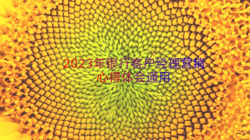 2023年银行客户经理营销心得体会（通用15篇）