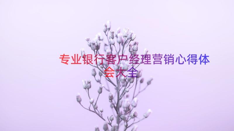 专业银行客户经理营销心得体会大全（15篇）