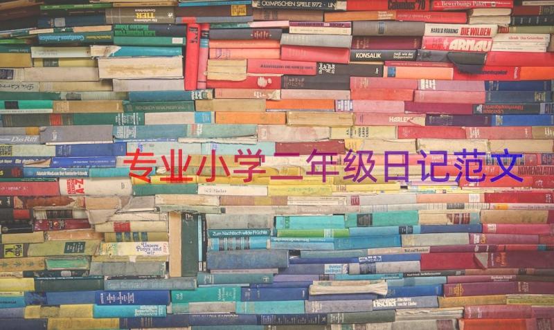 专业小学二年级日记范文（20篇）