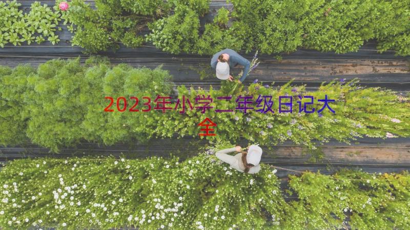 2023年小学二年级日记大全（14篇）